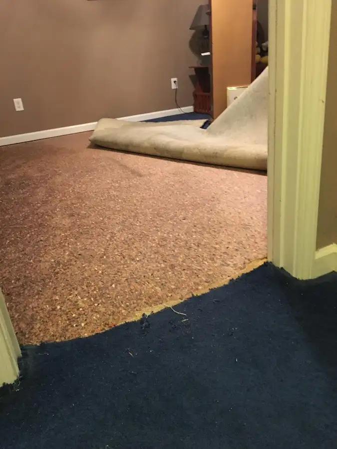 Carpet pad removal revealing water damage during Water Mitigation Services in Brandywine