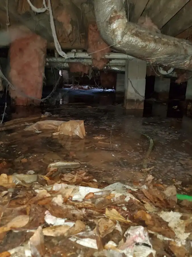 Crawl space flood assessment for Leak Detection & Repair in Brandywine