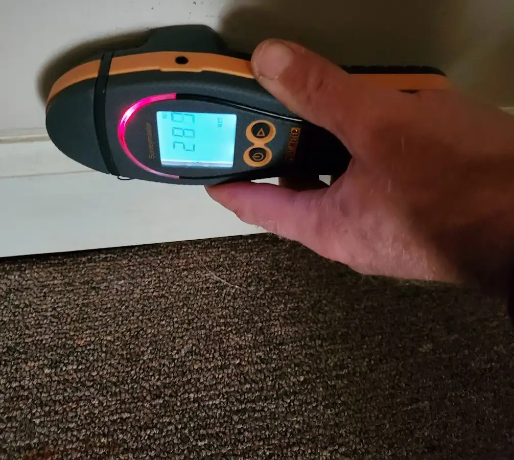 Moisture detection at baseboard during Mold Inspection & Testing in Brandywine