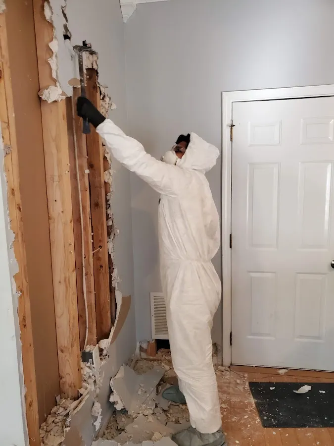 Mold Inspection & Testing in Brandywine, MD